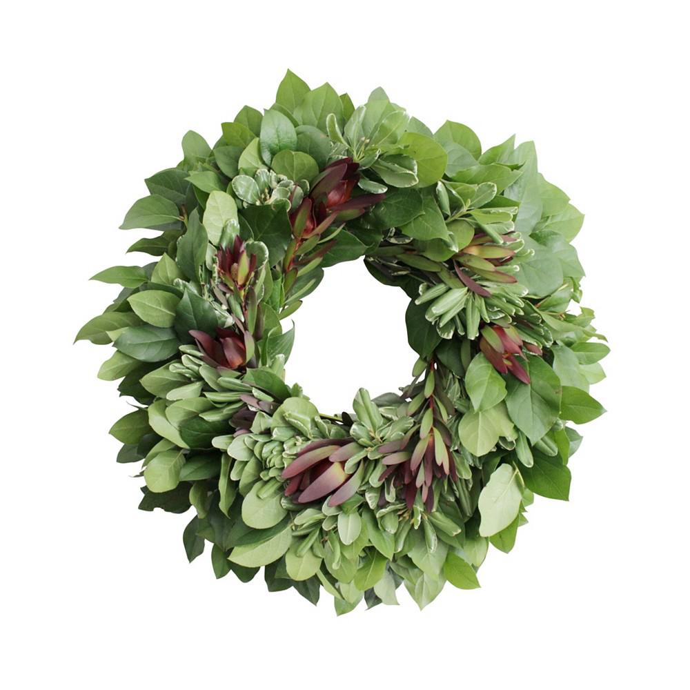 Magnolia Supply Co Fresh Lemon Leaf, Pittosporum and Safari Sunset Wreath, 20"