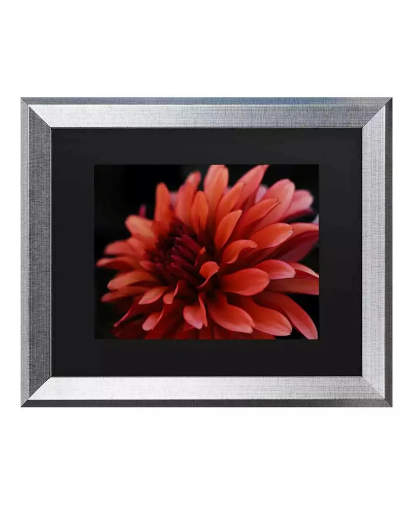 Trademark Global Kurt Shaffer Red Dhalia Matted Framed Art - 27" x 33"