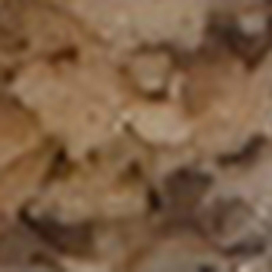 Artisan De La Truffe Mushroom and Summer Truffle Sauce (180g)