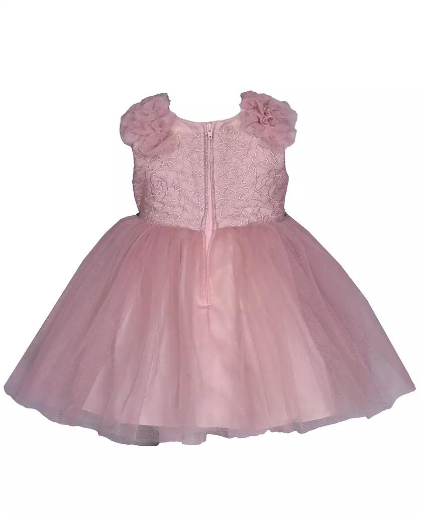 Bonnie Baby Baby Girls Sleeveless Embroidered Bodice Dress with Mesh Skirt