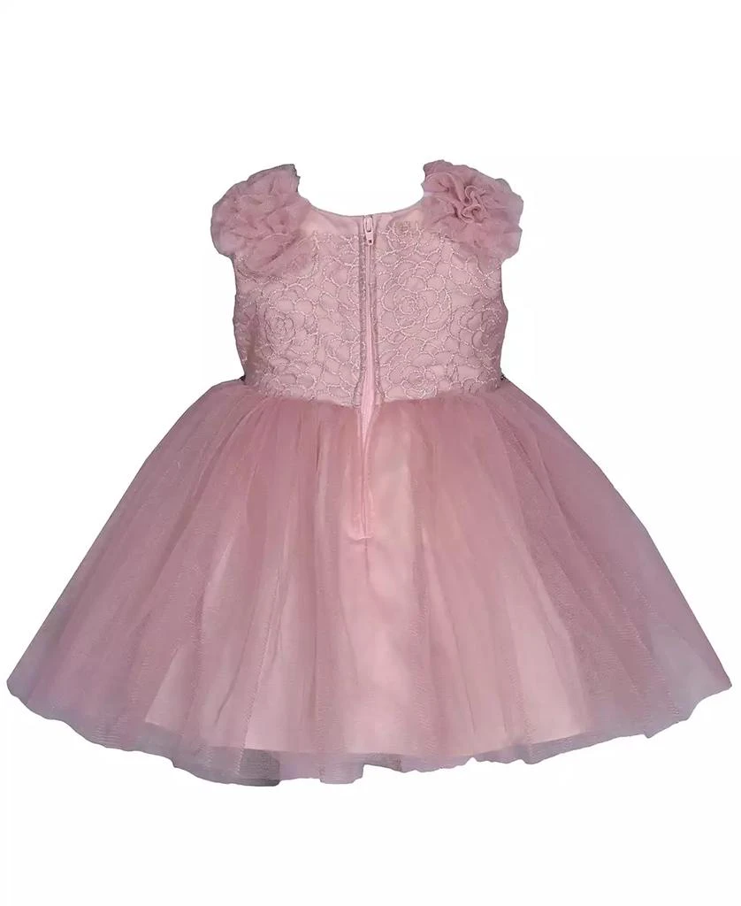 Bonnie Baby Baby Girls Sleeveless Embroidered Bodice Dress with Mesh Skirt 2