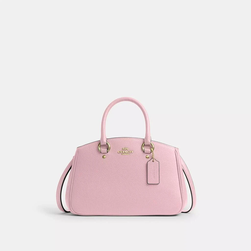 Coach Savannah Small Carryall Bag 1