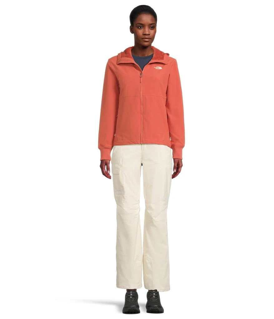 The North Face Shelbe Raschel Hoodie 5