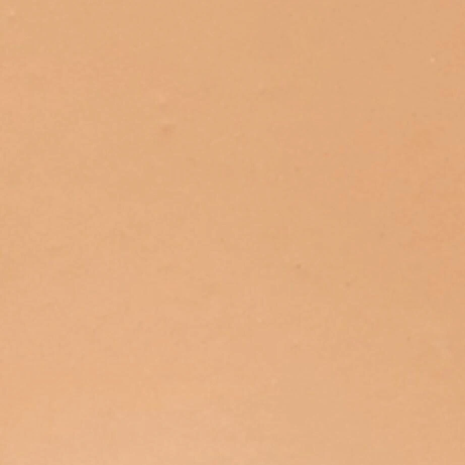 Shiseido Synchro Skin Self Refreshing Tint SPF 20 (30ml) 8