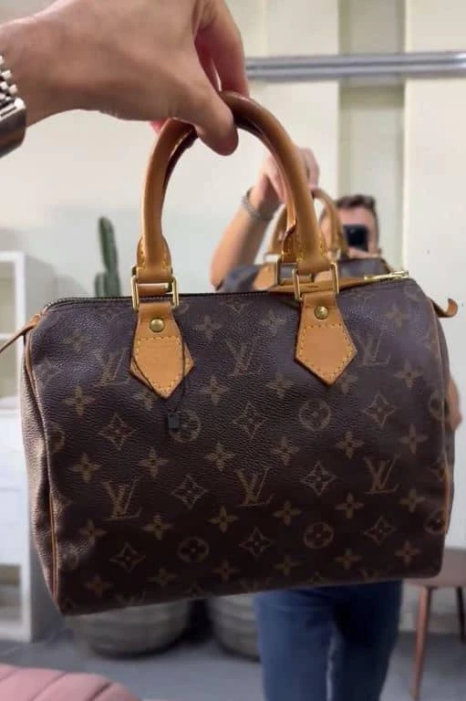 Louis Vuitton Louis Vuitton Monogram Canvas and Leather Speedy 25 Bag 2