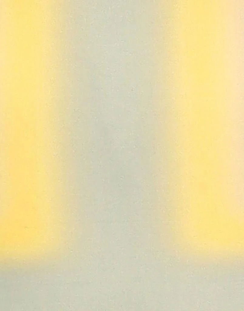 Rick Owens T-shirt 4