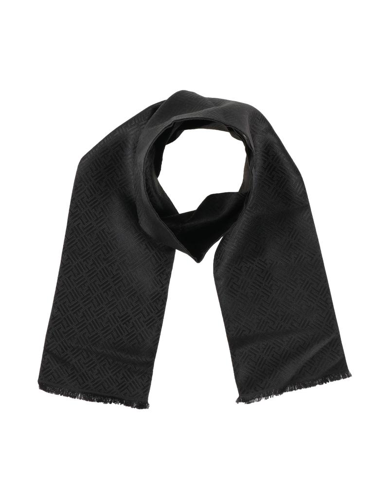 Zegna Scarves and foulards