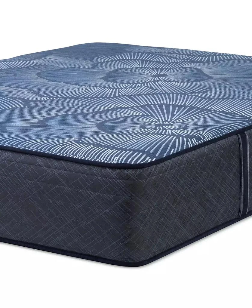 Serta Perfect Sleeper Euphoric Nights 14" Firm Hybrid Mattress 10