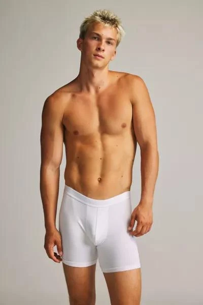 Standard Cloth Standard Cloth Cotton Boxer Brief 3-Pack 2