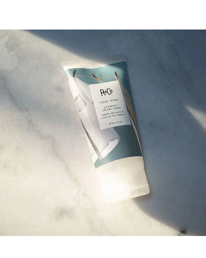 R+Co R+Co Cool Wind pH Perfect Air-Dry Crème 5 oz. 4