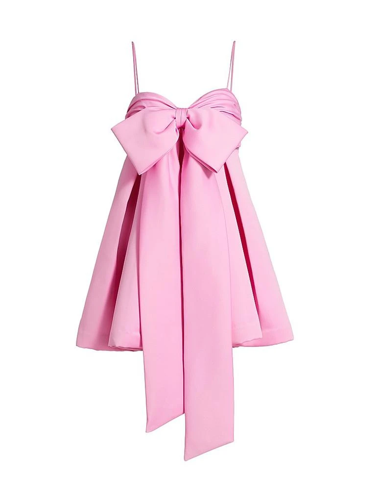 AMUR Rose Baby Doll Minidress 1