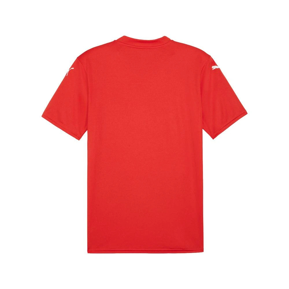 Puma Teamglory V Neck Short Sleeve Soccer Jersey 2