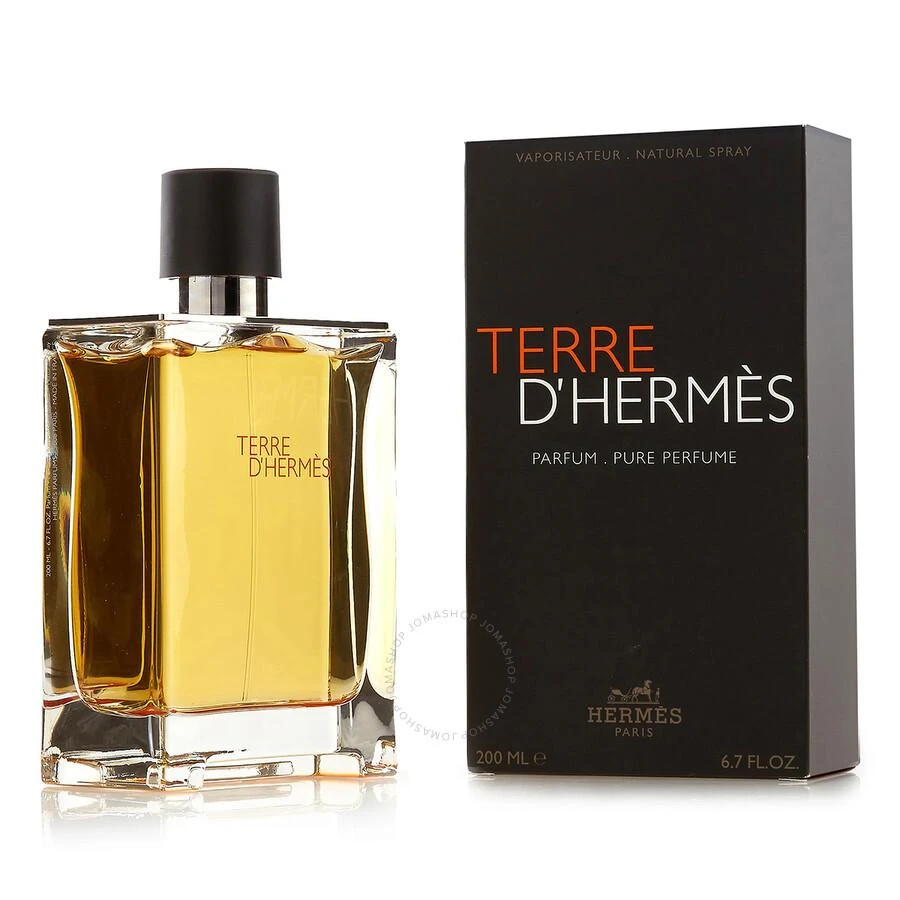 Hermes Hermes Terre D'Hermes Mens EDP 3