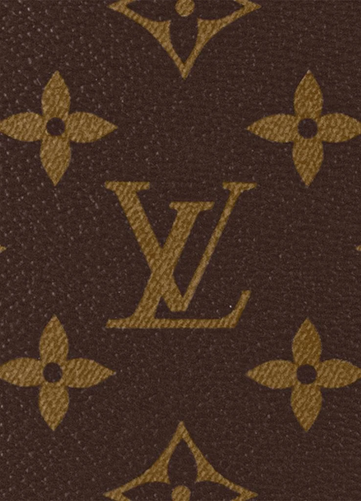 Louis Vuitton Dean Backpack 6