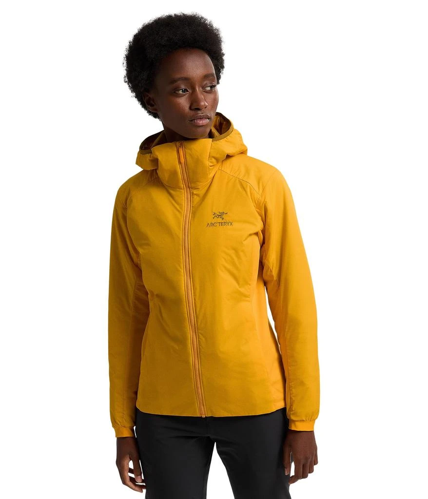 Arc'teryx Atom Hoody 1