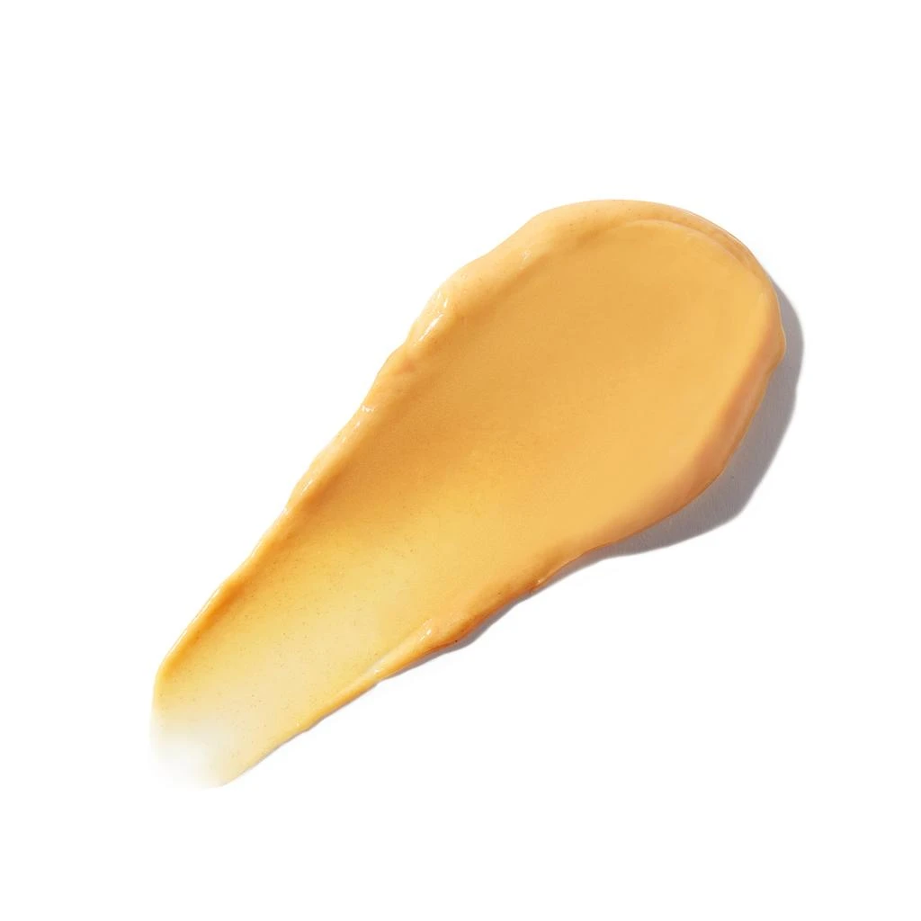 Christophe Robin Christophe Robin Shade Variation Mask - Chic Copper 250ml 2