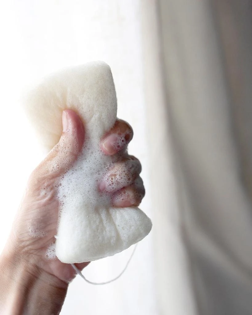 Iles Formula Hair + Body Cleanse with Body Sponge 7