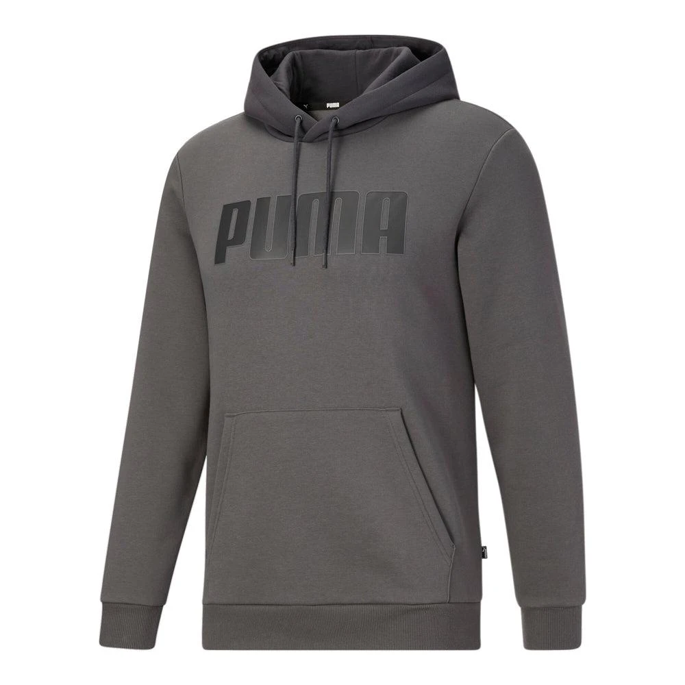 Puma Color Block Logo Pullover Hoodie 1