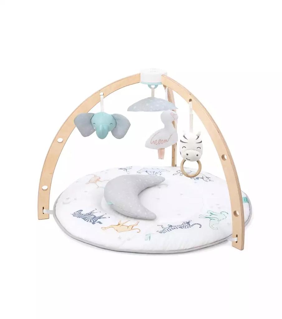 aden + anais Activity Gym