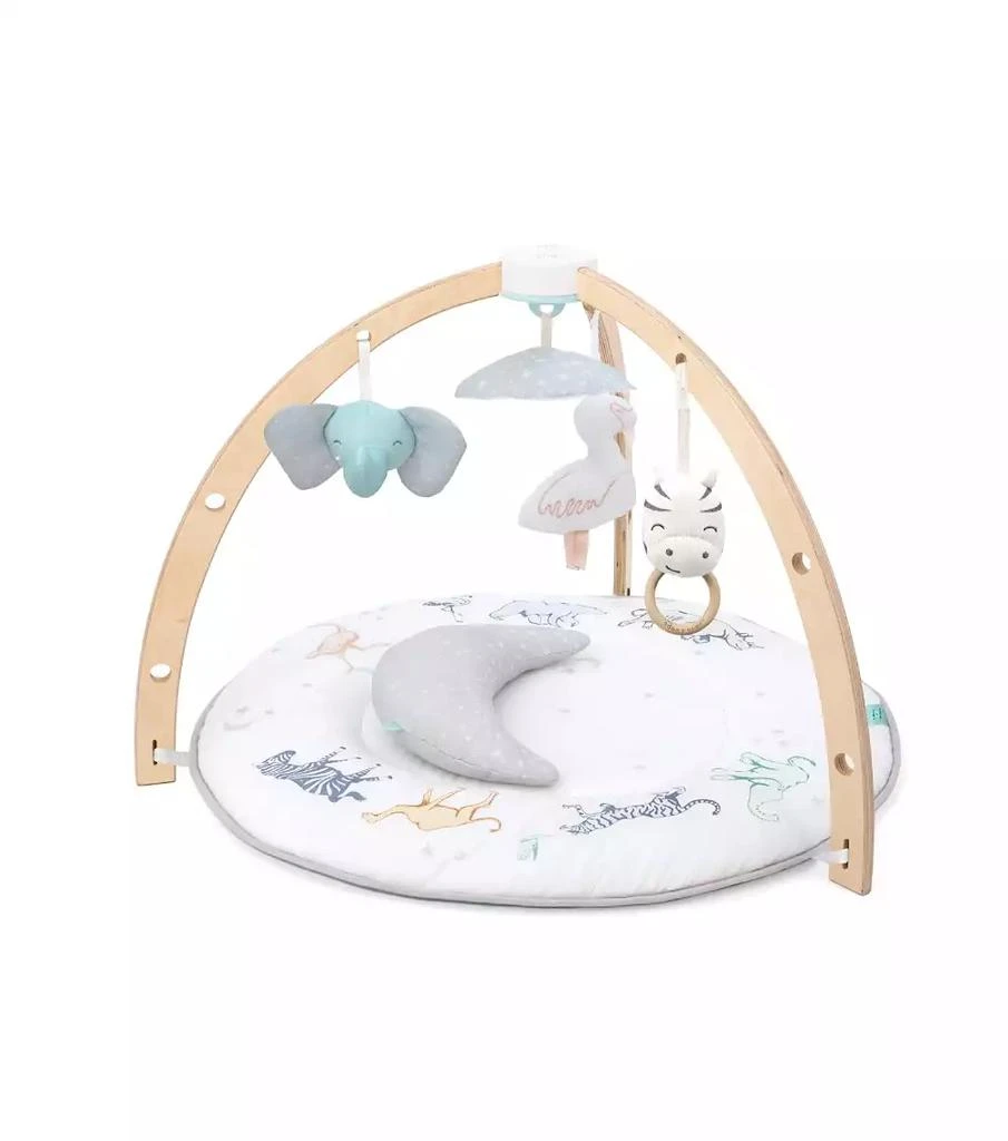 aden + anais Activity Gym 1
