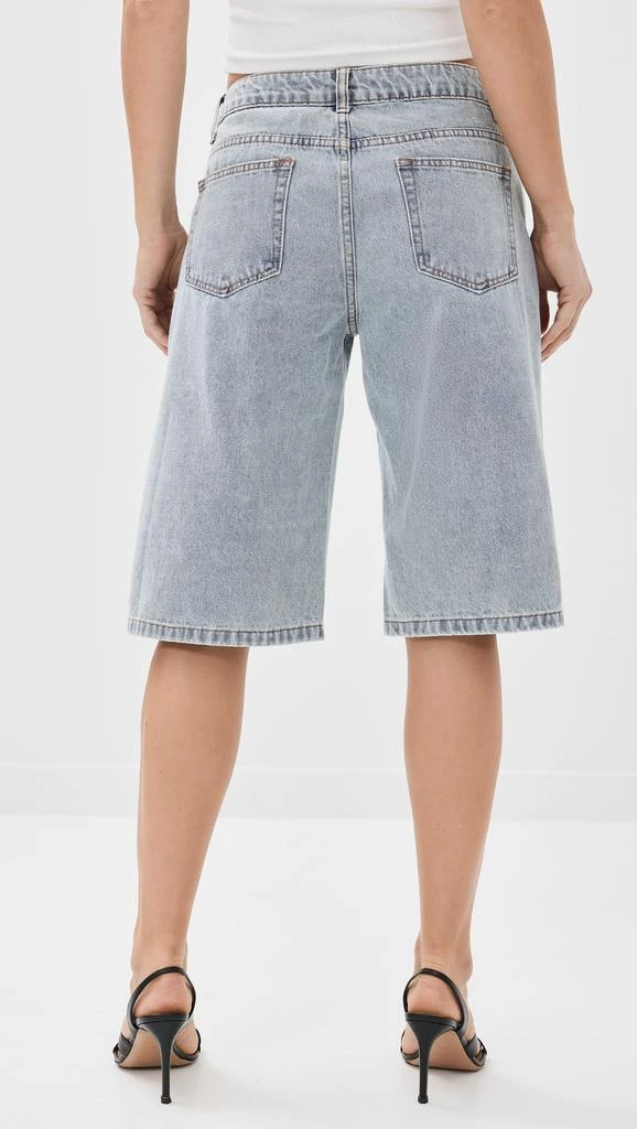 Lioness Kurt Jorts 2