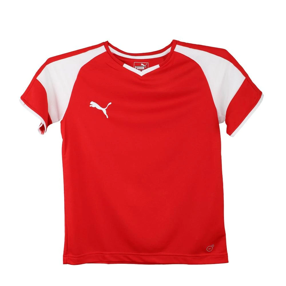 Puma Borussia V-Neck Soccer Jersey (Little Kid-Big Kid)