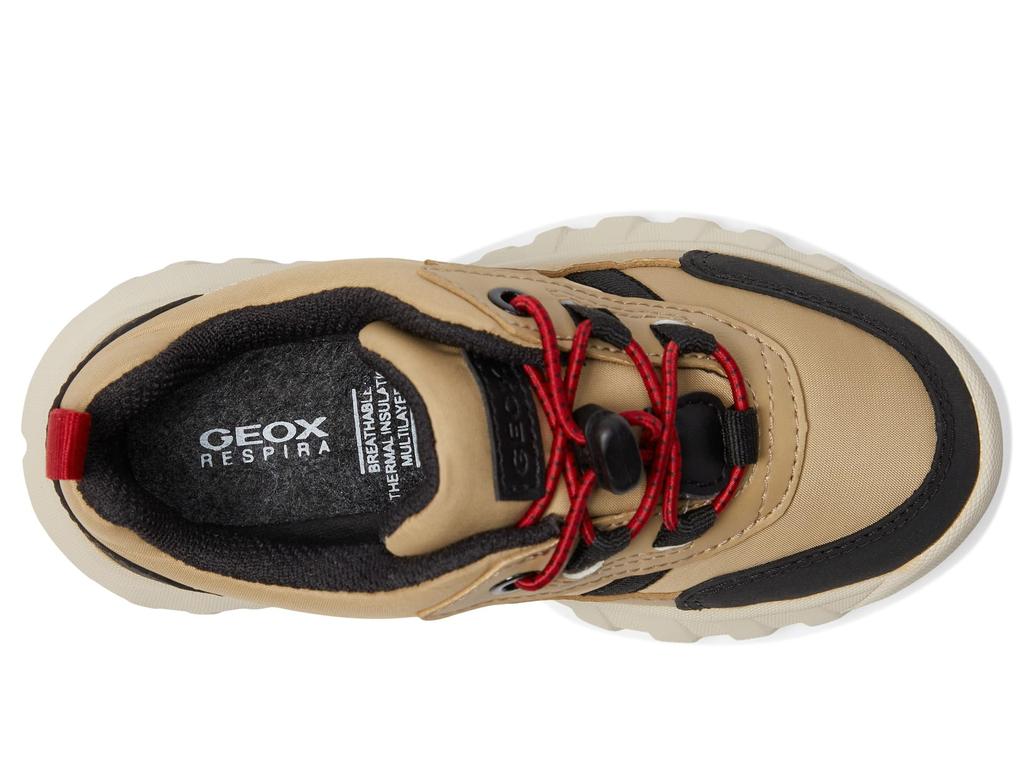 Geox Kids J Simbyos Boy B Abx (Toddler/Little Kid/Big Kid)