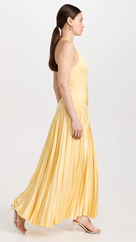 Alexis Saab Dress 3
