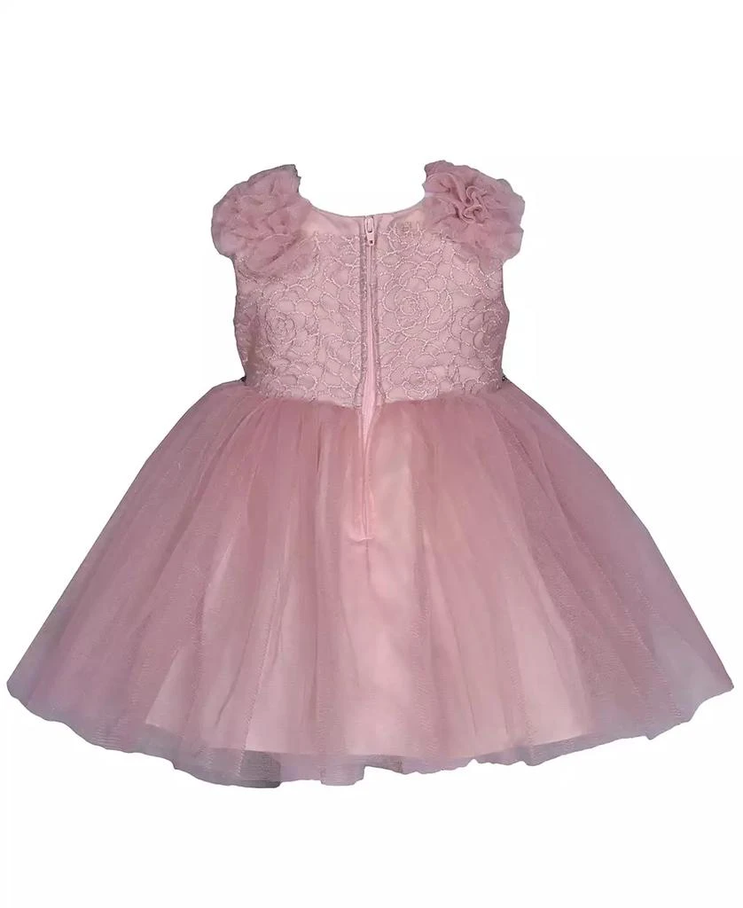 Bonnie Baby Baby Girls Sleeveless Embroidered Bodice Dress with Mesh Skirt 2