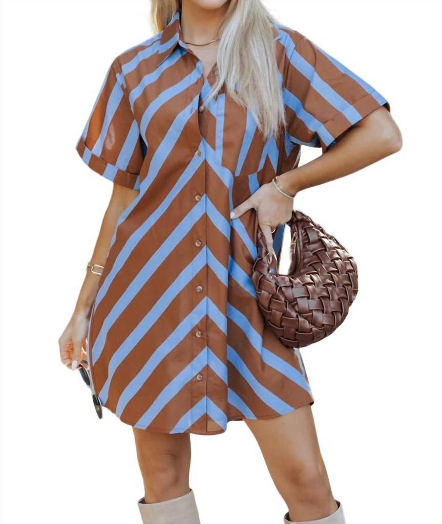 entro Striped Mini Dress In Brown/blue