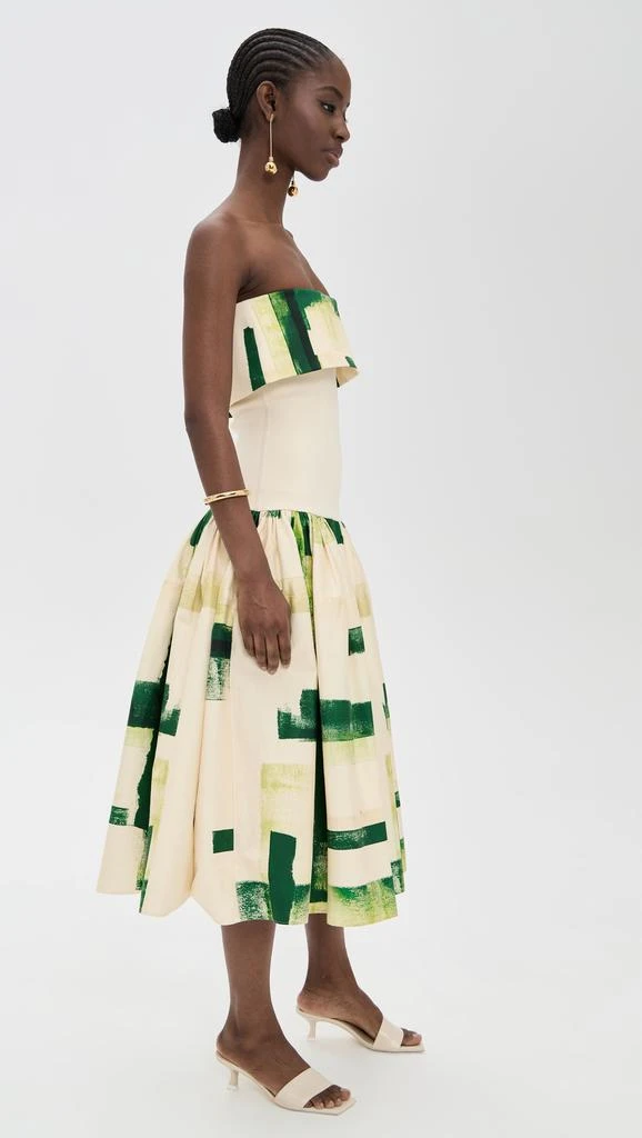 Alexis Robia Dress 3