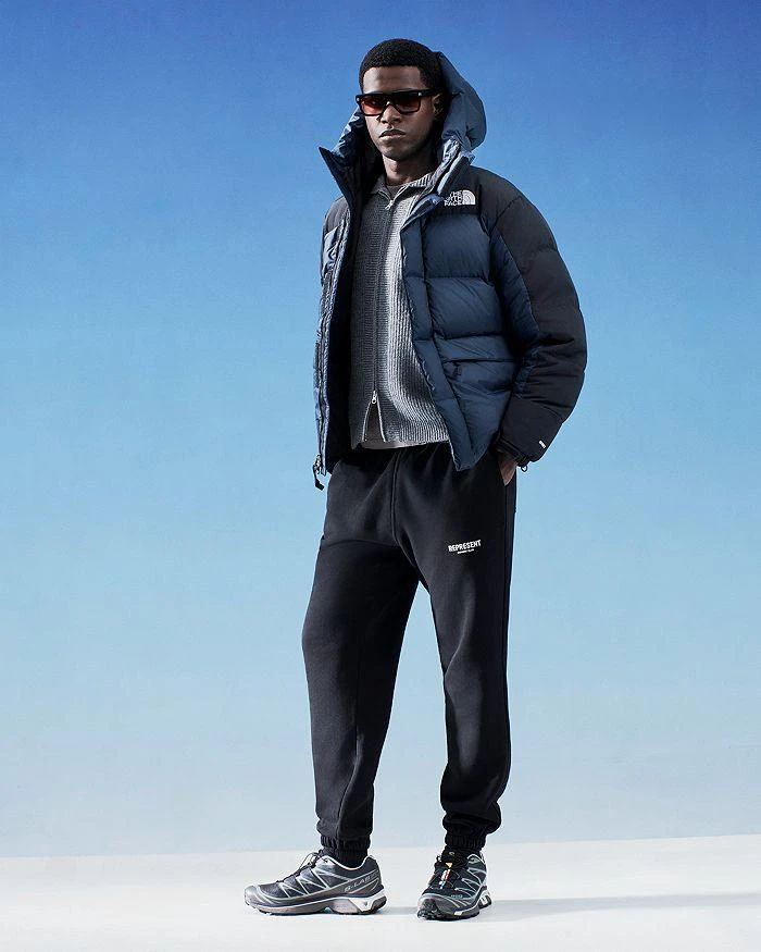 The North Face HMLYN Down Parka Jacket 9