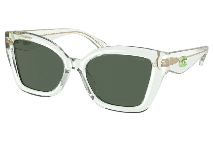 Coach Women's 54mm Transparent Pistachio Sunglasses 1