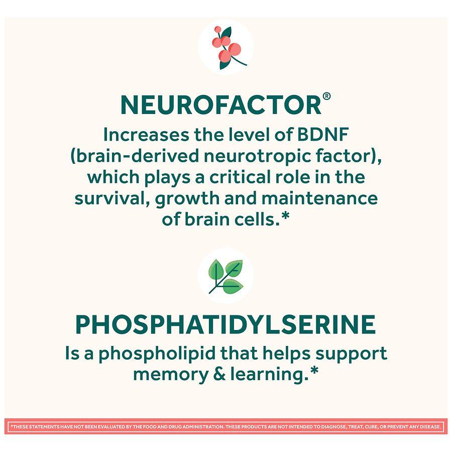 Neuriva Brain Health Supplement, Support for Memory, Focus, Concentration and Learning