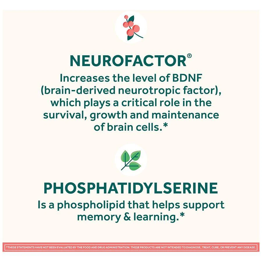 Neuriva Brain Health Supplement, Support for Memory, Focus, Concentration and Learning 2