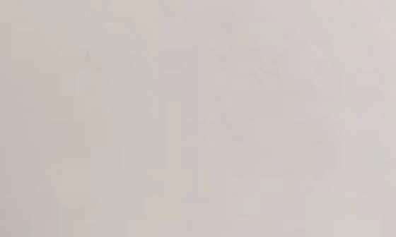 SOUTHSHORE FINE LINENS Classic Soft
Comfortable Brushed Microfiber Sheet Set 4