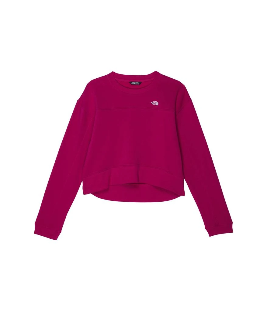 The North Face Kids Camp Fleece Crew (Little Kids/Big Kids) 1