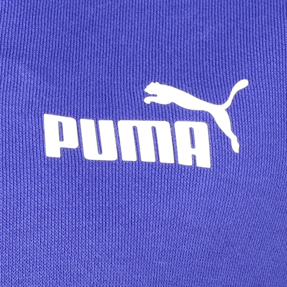 Puma Essentials Small Logo Pullover Hoodie 3