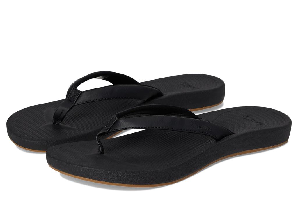 Cosmic Aquarius 2 – On Sale Now with Up to 31% Off | Discover