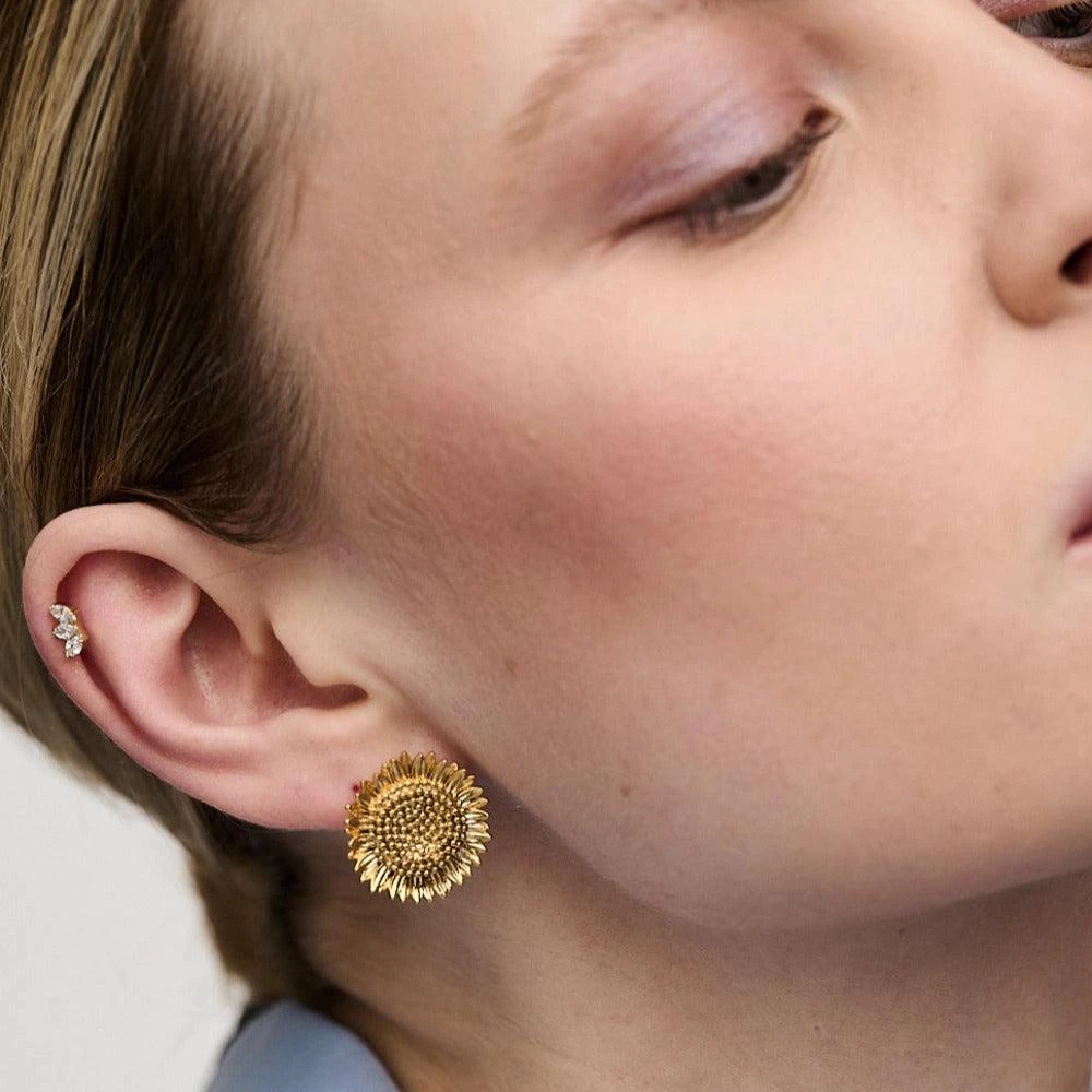 Orelia London Crystal Marquise Fan Labret 4