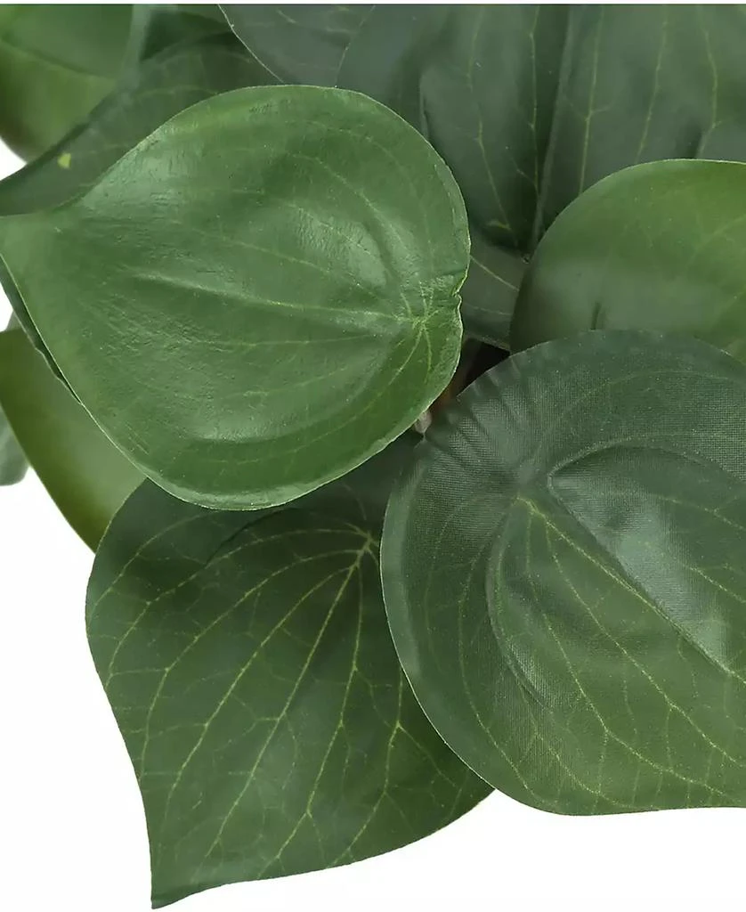 Monarch Specialties 8" Indoor Artificial Alocasia Plants with Decorative White Cement Pots, Set Of 2 3