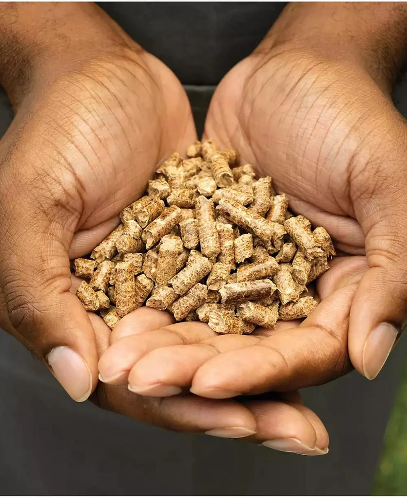 Ninja Wood Fire Pellets, All Purpose Blend 2-Lbs Bag, Upto 20 Cooking Sessions, XSKOP2RL 3