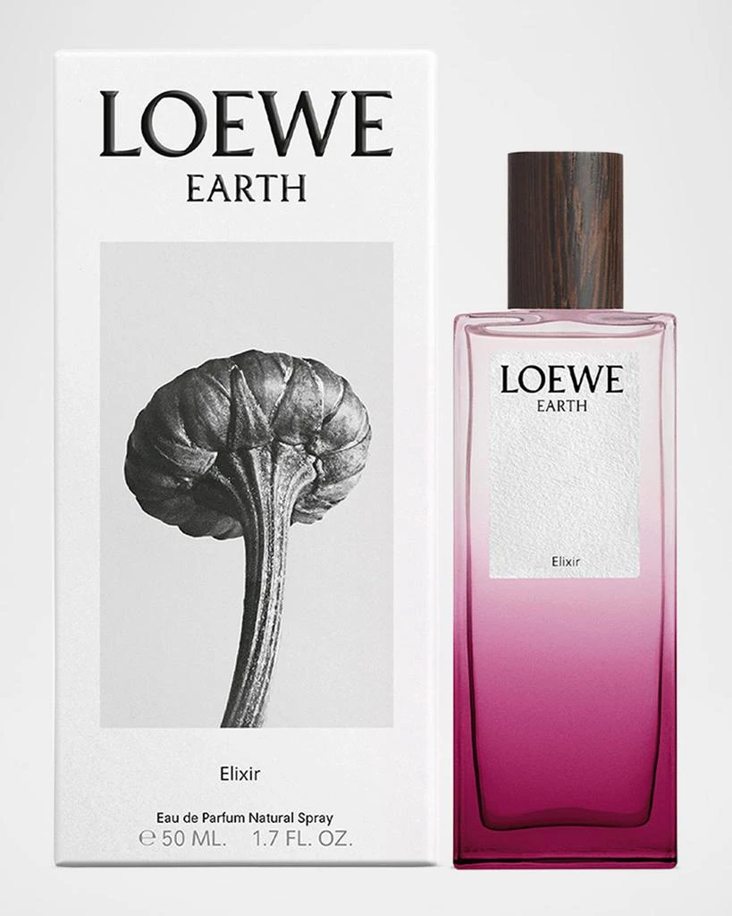 Loewe Earth Elixir Eau De Parfum, 50 mL 2