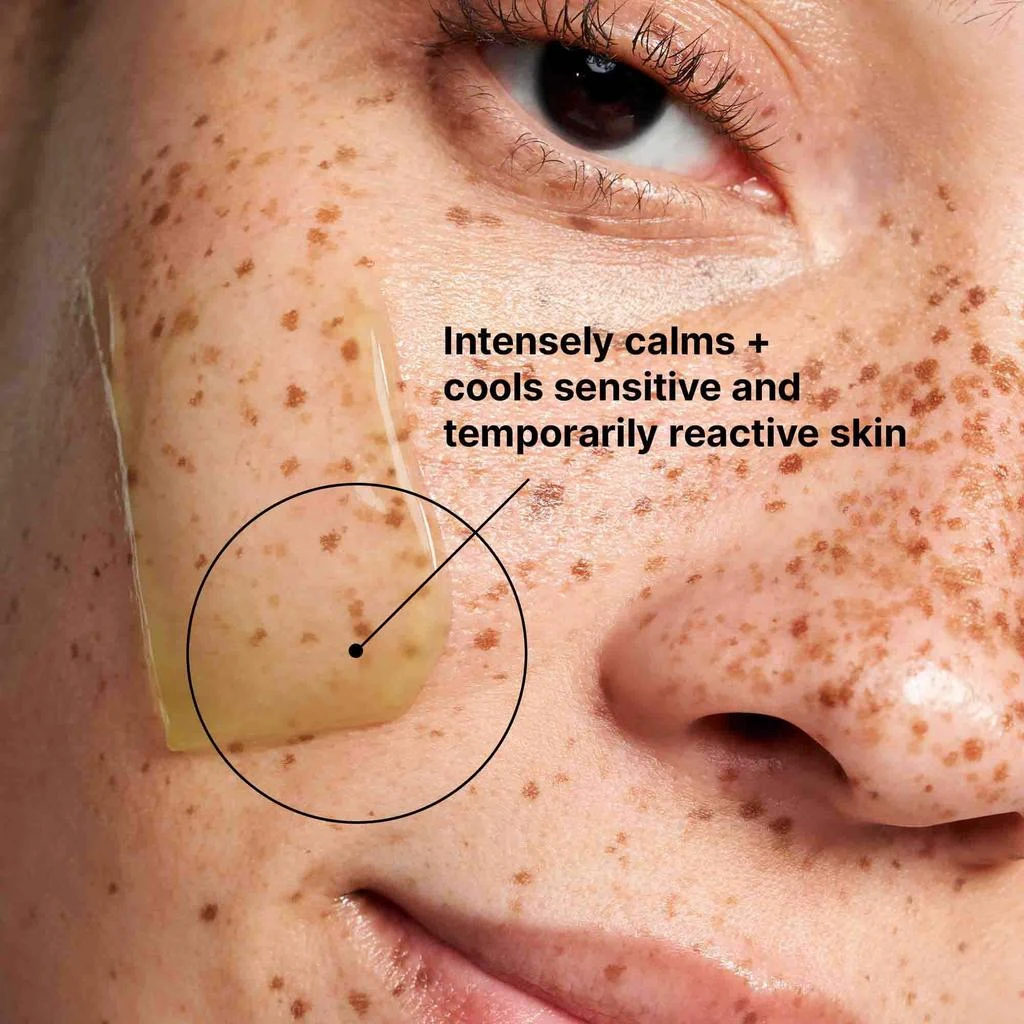 SkinCeuticals SkinCeuticals Phyto Corrective Mask 4