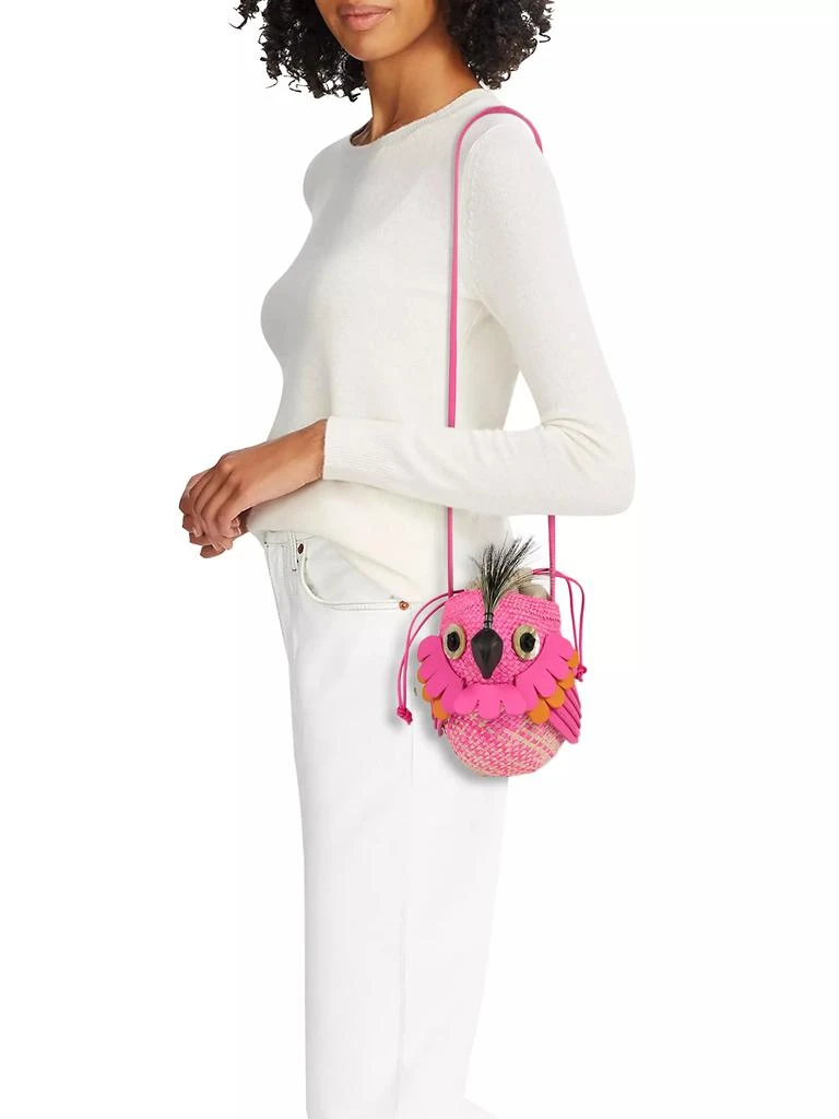 Loewe LOEWE x Paula's Ibiza Woven Bird Bag 2
