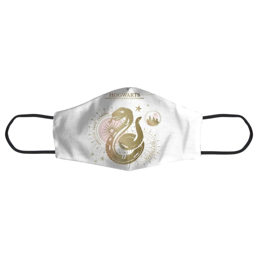 Harry Potter Harry Potter Golden Slytherin Face Mask 1