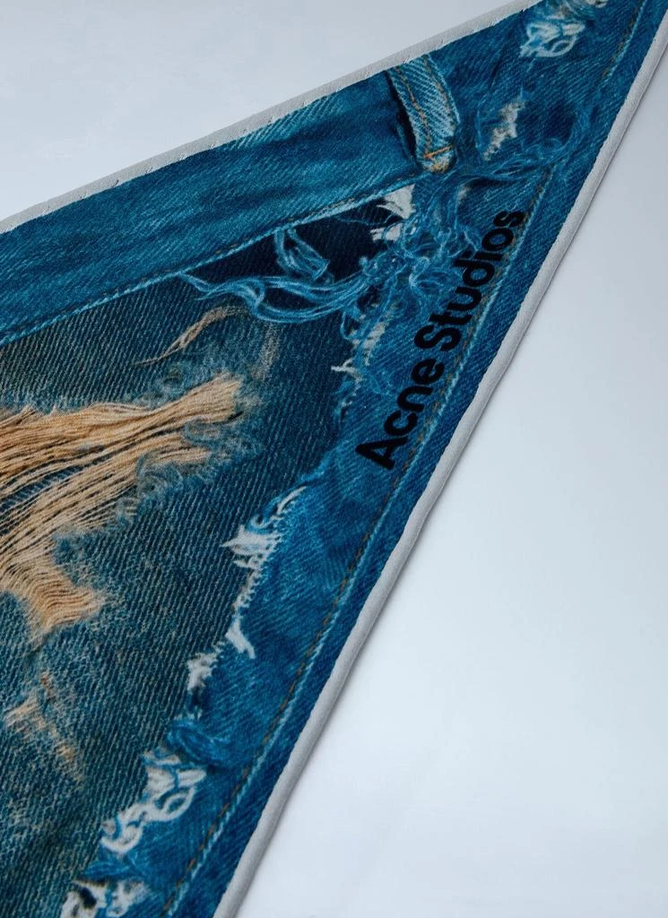 Acne Studios Printed Silk Scarf 3