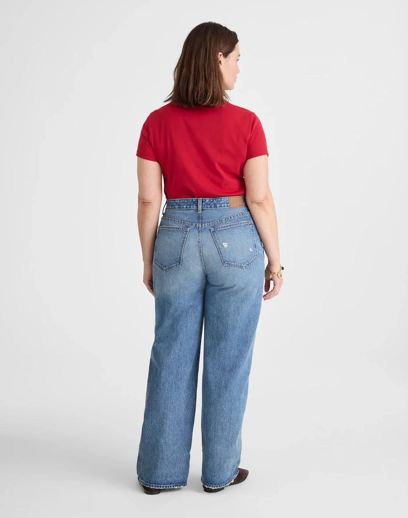 Madewell Plus Curvy Low-Slung Baggy Jeans in Robertson Wash 4