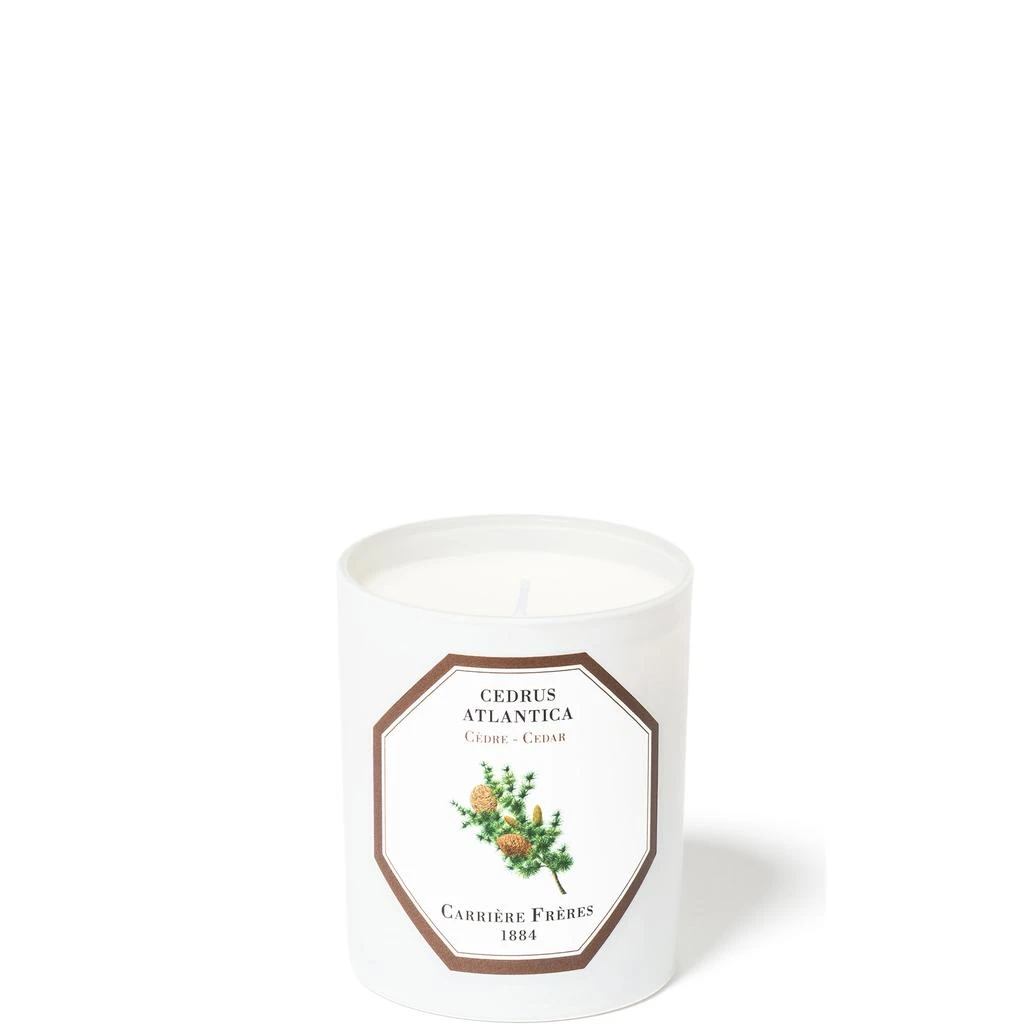 Carriere Freres Carrière Frères Scented Candle Cedar - Cedrus Atlantica - 6.5 oz