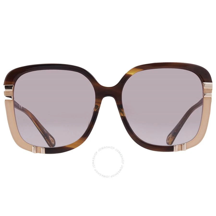 Chloé Brown Square Ladies Sunglasses CH0106SA 006 59 1